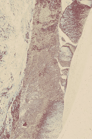 Woman in the Rock, China Ranch