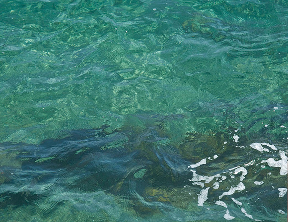 Catalina Wave