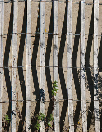 Sand Fence
