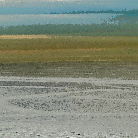 Waterborne 2