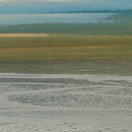 Waterborne 1