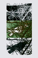 A Cage of One's Own Making