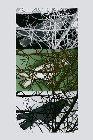 A Cage of One's Own Making