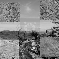 Joshua Tree National Park