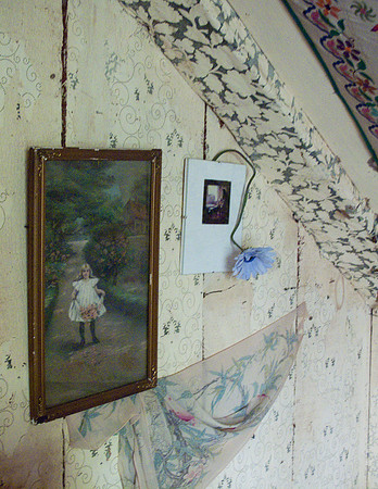The Blue Flower