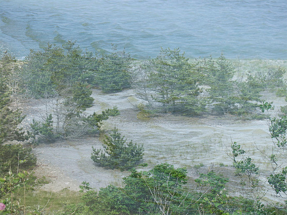 The Ghost Shore
