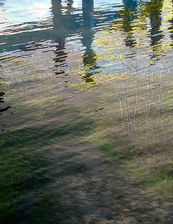 Storm Surge
