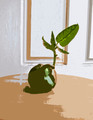 Green Pepper