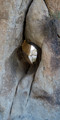 Emergence Hole, Joshua Tree National Park