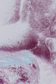 Enter/Emerge #4