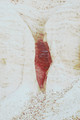 Enter/Emerge #11