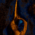Emergnce: Joshua Tree