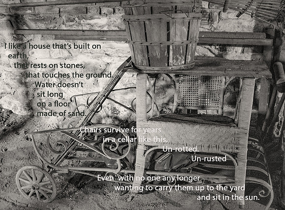 Cellars Like this