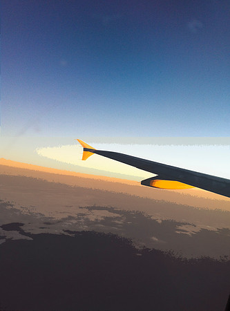 Flying Home