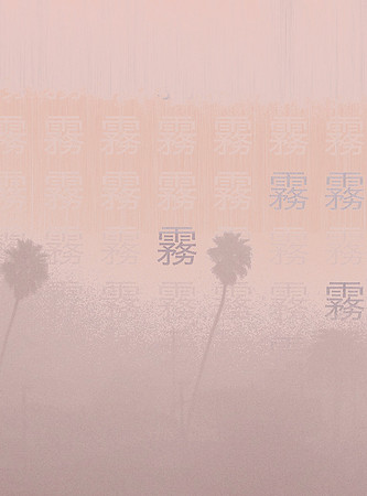 Palm & Fog