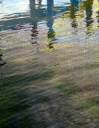 Storm Surge