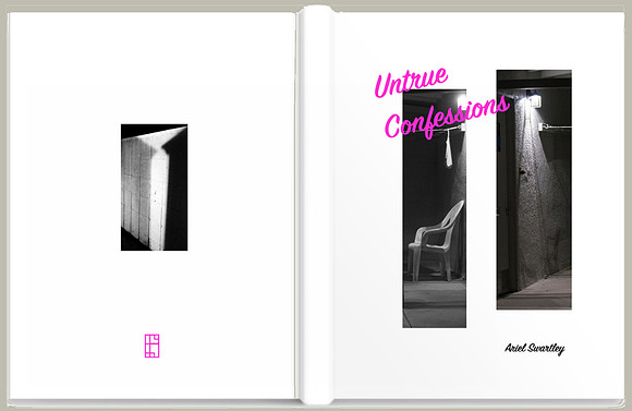 Untrue Confessions Book Cover