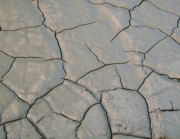 Mud Puddle 1