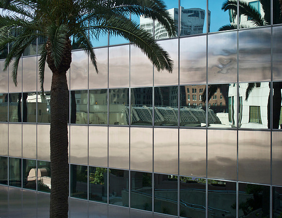 Downtown Palm