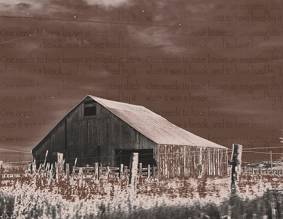 Land of Little Rain 5: knowing ditches