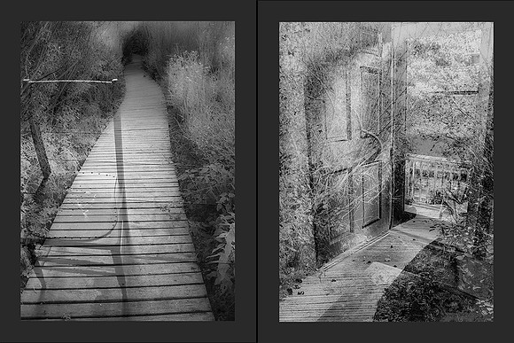 pages 7 & 8