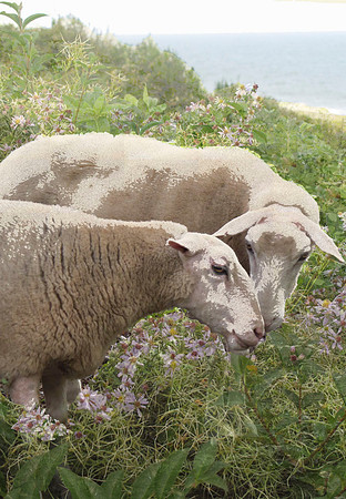 They stopped to confer