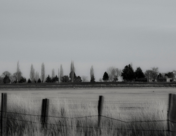 Windbreak