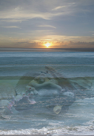 Pale in the dawn light
