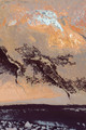 Salamander, Escondido