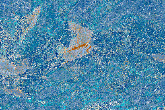 Salmon Spirit, Kenai, AK
