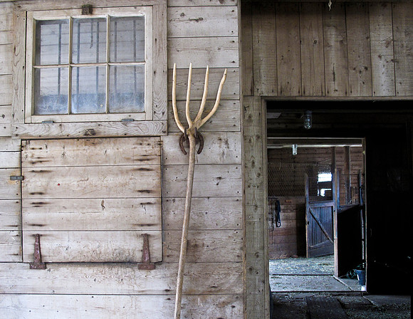 Hay Fork
