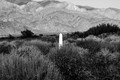 Pioneer Cemetery, Lone Pine CA